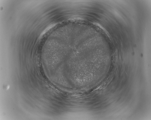 X0000070410919200607072305