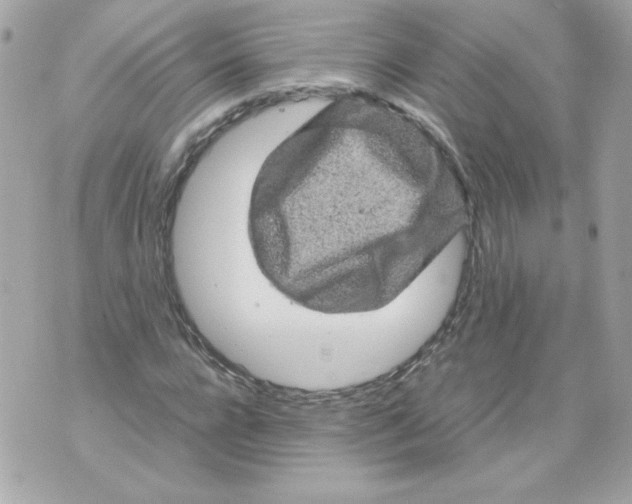 X0000070410920200607072305