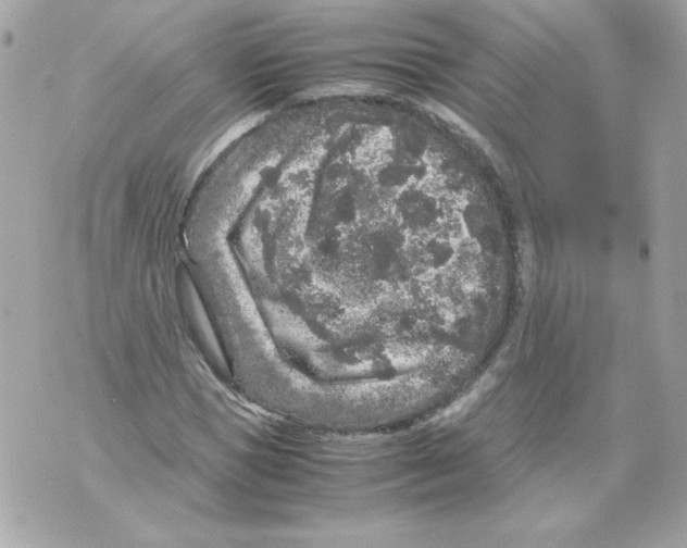 X0000070410921200607072305