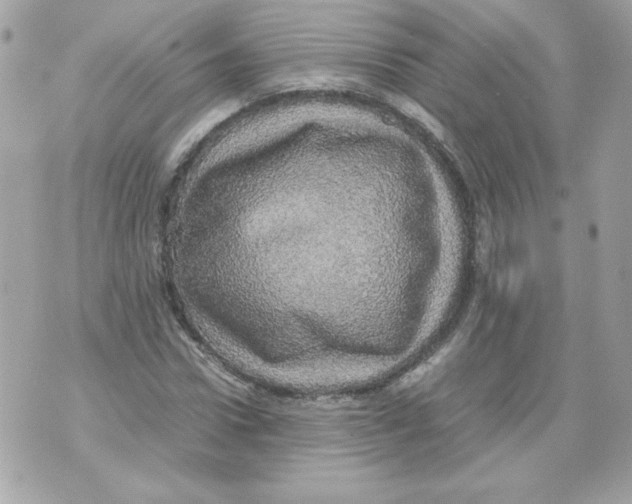 X0000070410922200607072305