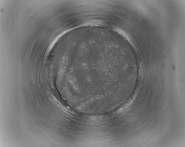 X0000070410923200607072305