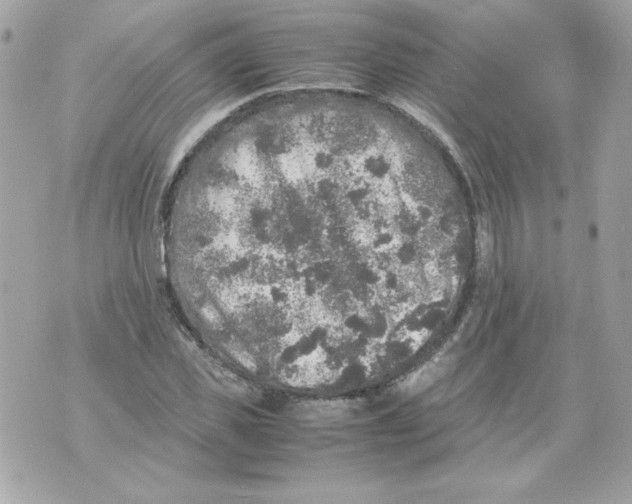 X0000070410925200607072305