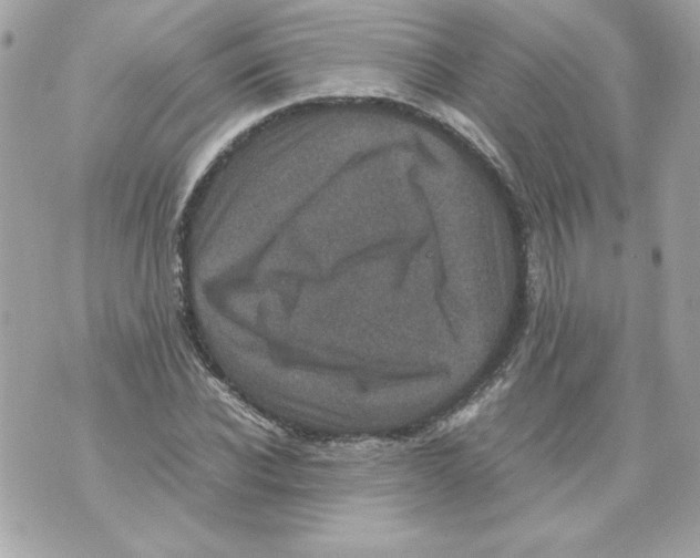 X0000070410926200607072305