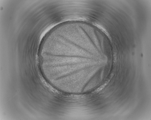 X0000070410928200607072305