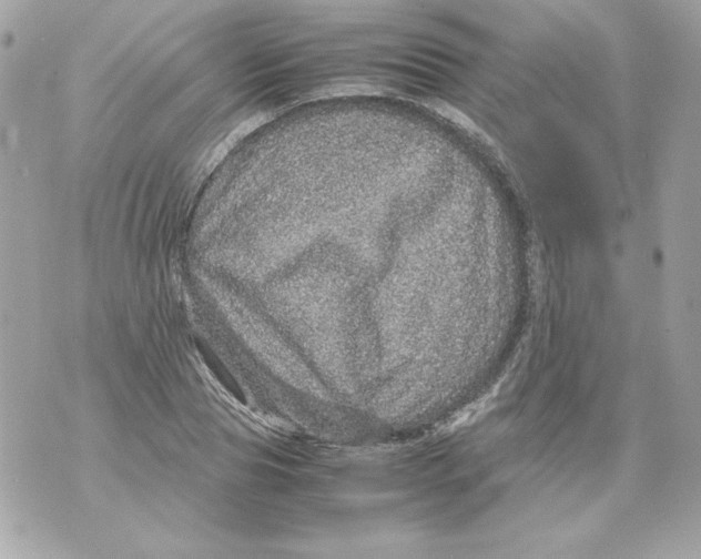 X0000070410929200607072305