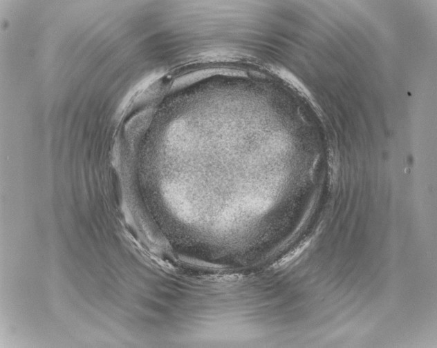 X0000070410930200607072305