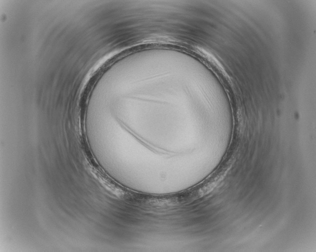 X0000070410931200607072305