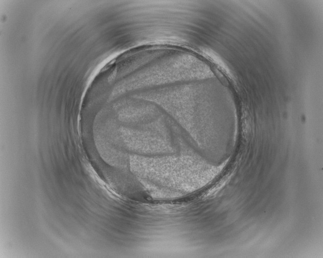 X0000070410932200607072305