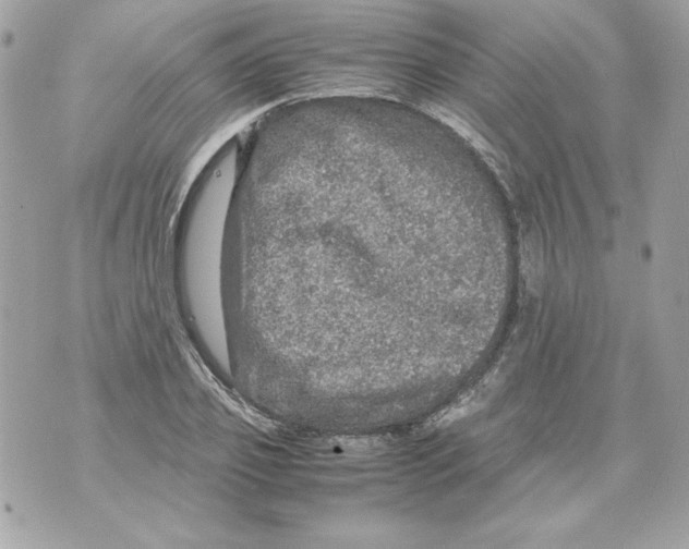 X0000070410933200607072305