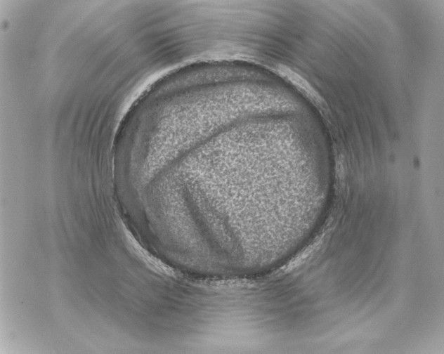 X0000070410934200607072305