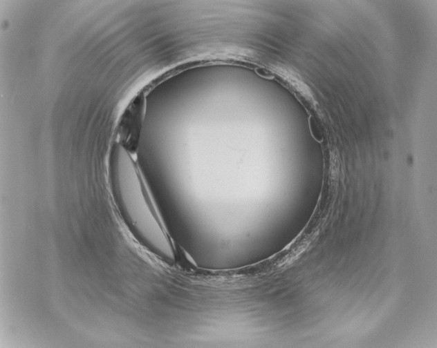 X0000070410936200607072305