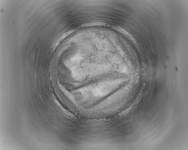 X0000070410937200607072305