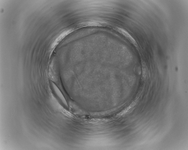 X0000070410938200607072305