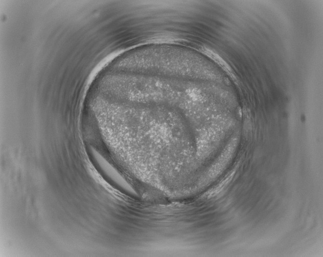 X0000070410939200607072305