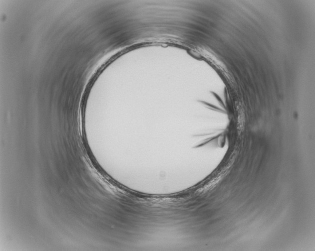 X0000070410940200607072305