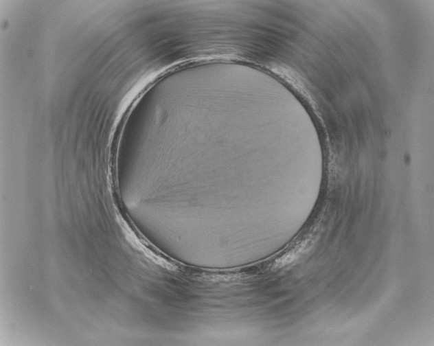 X0000070410941200607072305