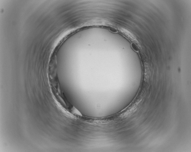 X0000070410942200607072305