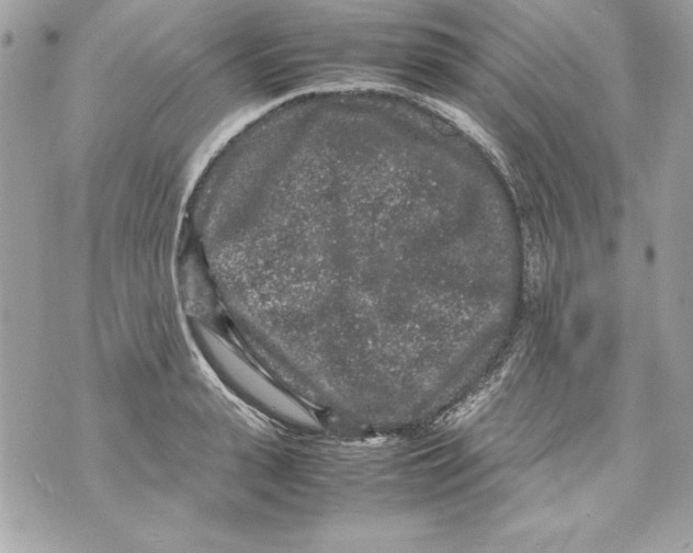 X0000070410943200607072305