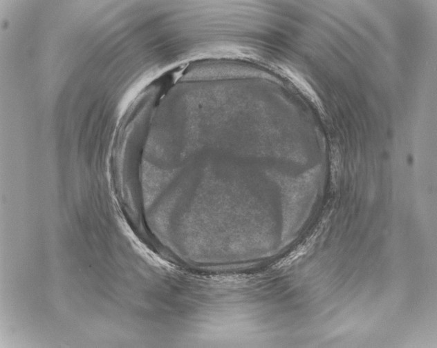 X0000070410944200607072305