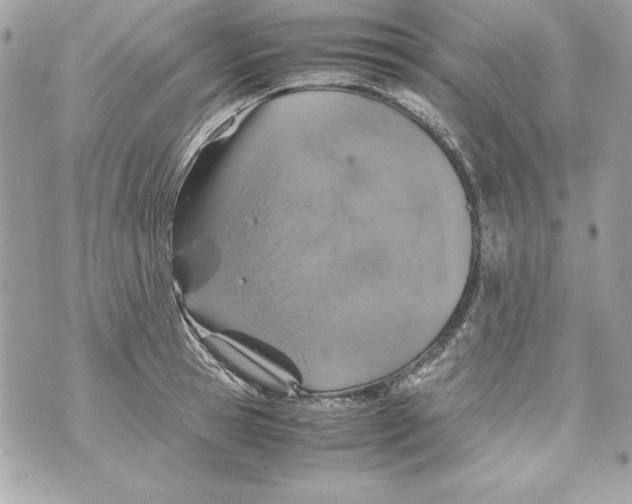 X0000070410945200607072306