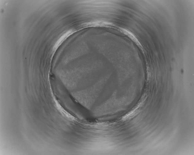 X0000070410946200607072306