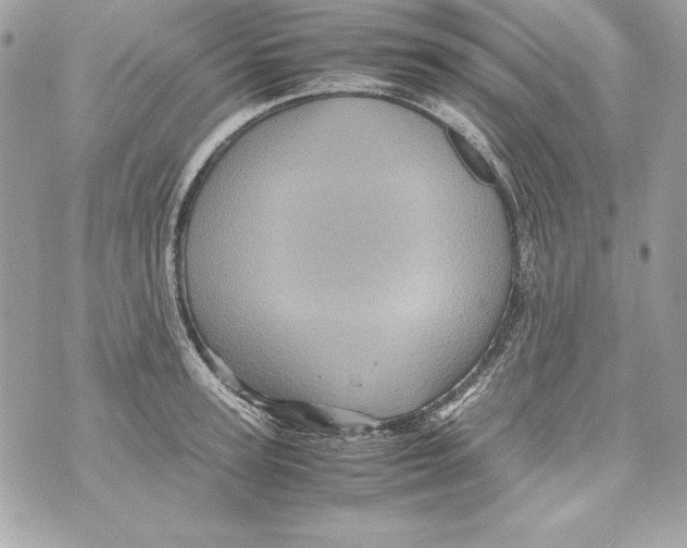 X0000070410947200607072306