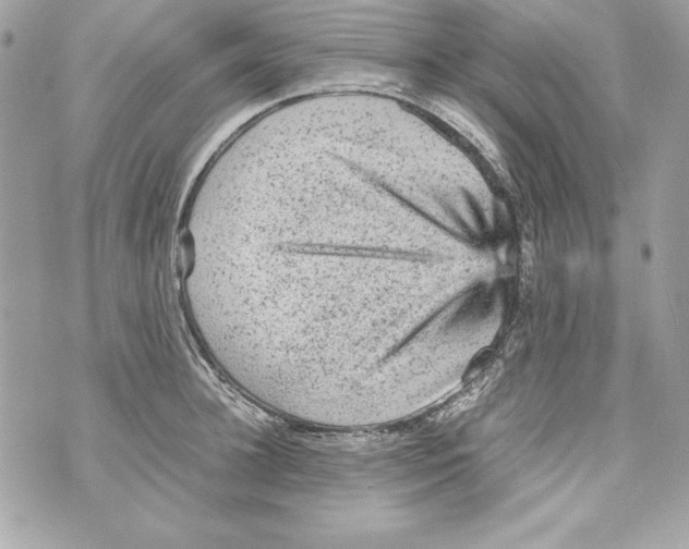 X0000070410948200607072306