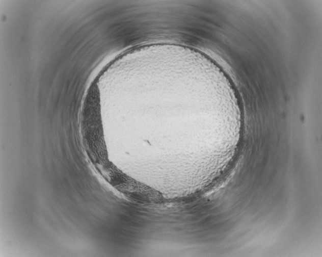 X0000070410949200607072306