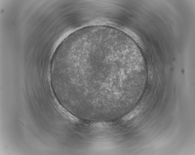 X0000070410950200607072306