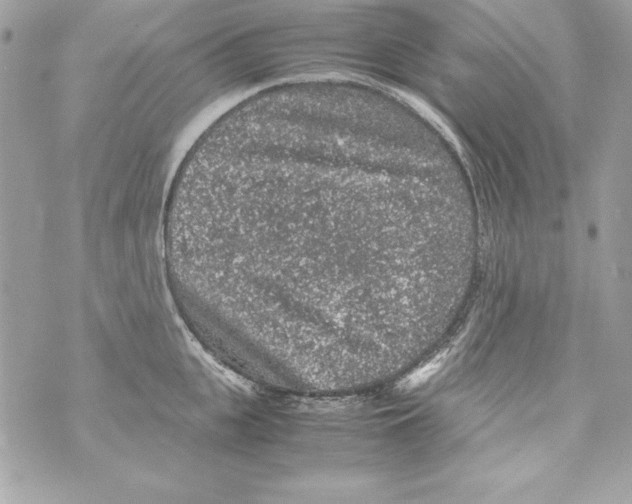 X0000070410951200607072306