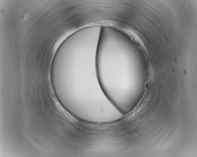 X0000070410952200607072306