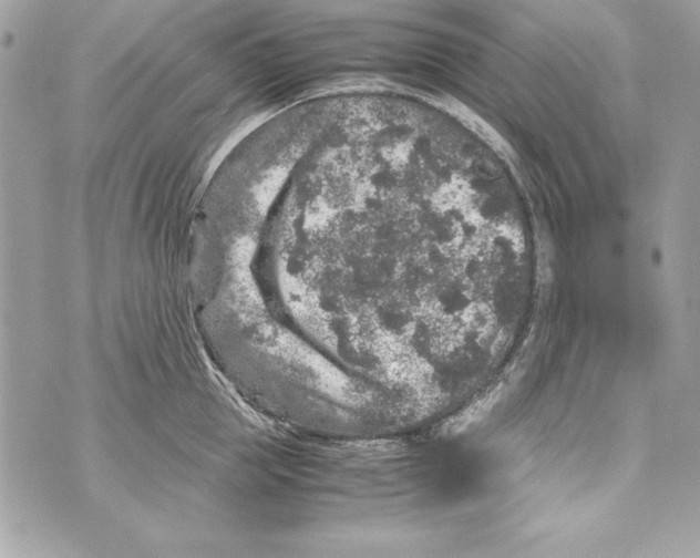 X0000070410953200607072306