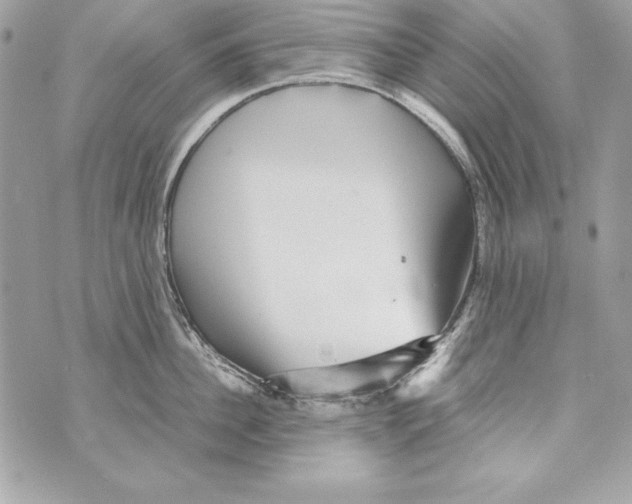 X0000070410956200607072306