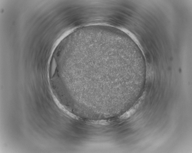 X0000070410957200607072306