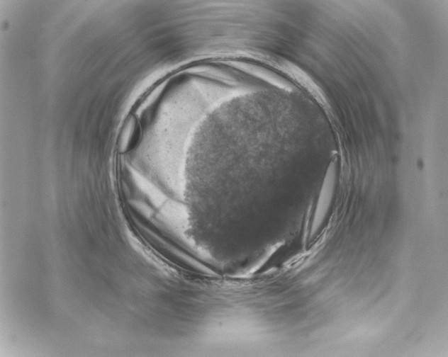 X0000070410958200607072306