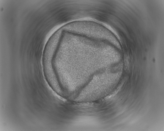 X0000070410959200607072306