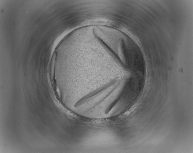 X0000070410960200607072306