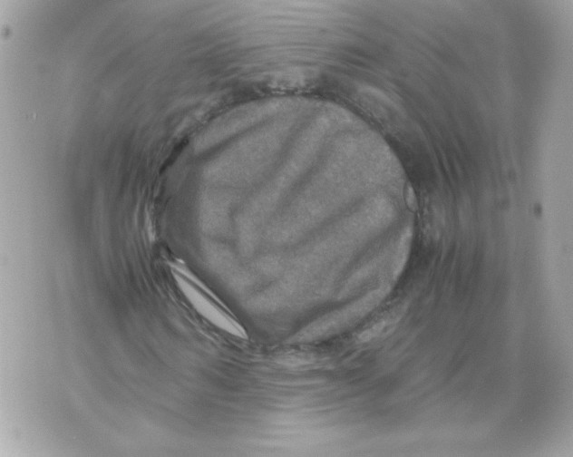 X0000070410962200607072305