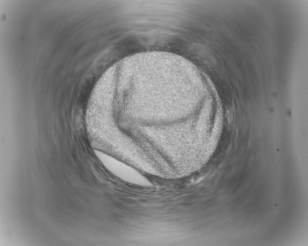 X0000070410963200607072305