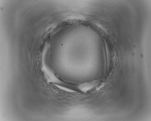 X0000070410965200607072305