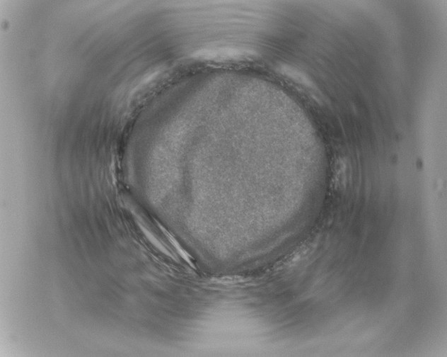 X0000070410966200607072305