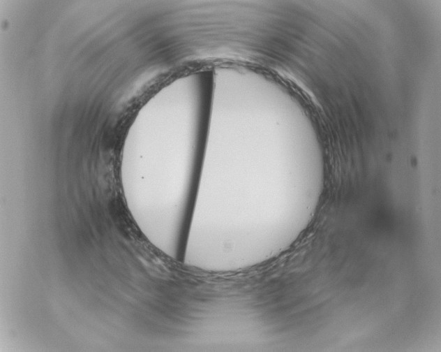 X0000070410968200607072305