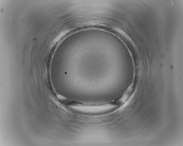 X0000070410969200607072305