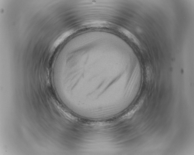 X0000070410970200607072305