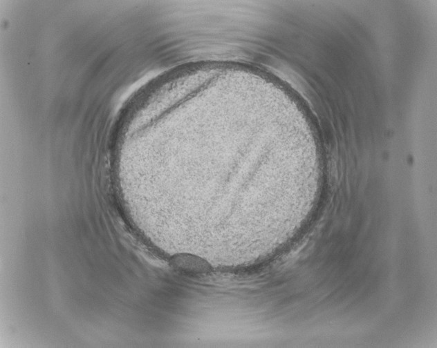 X0000070410971200607072305