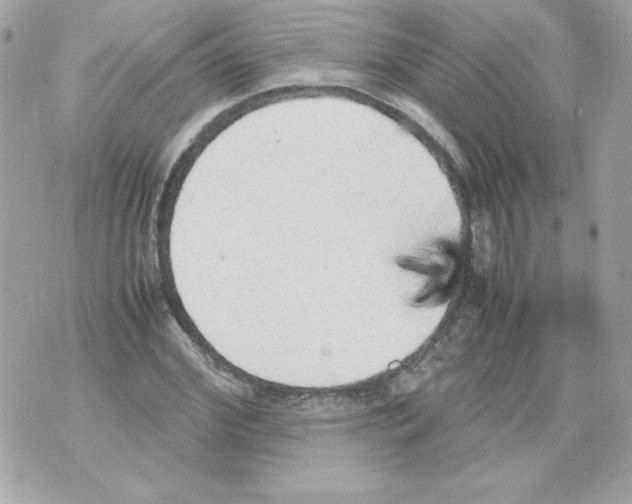 X0000070410972200607072305