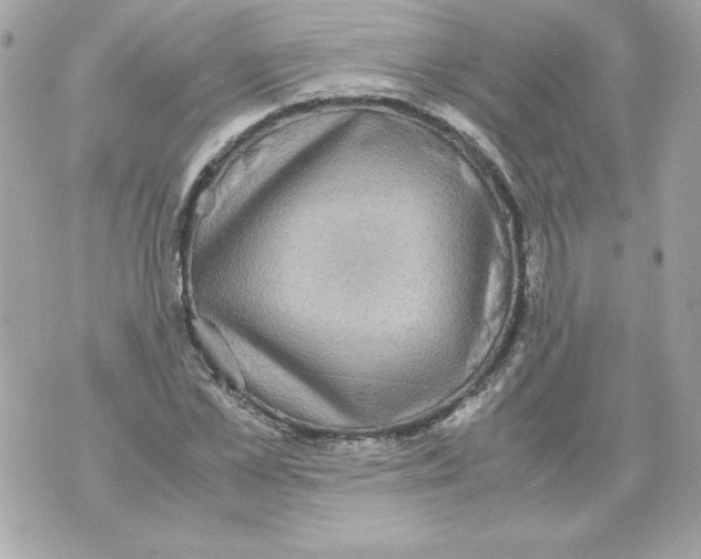 X0000070410973200607072305