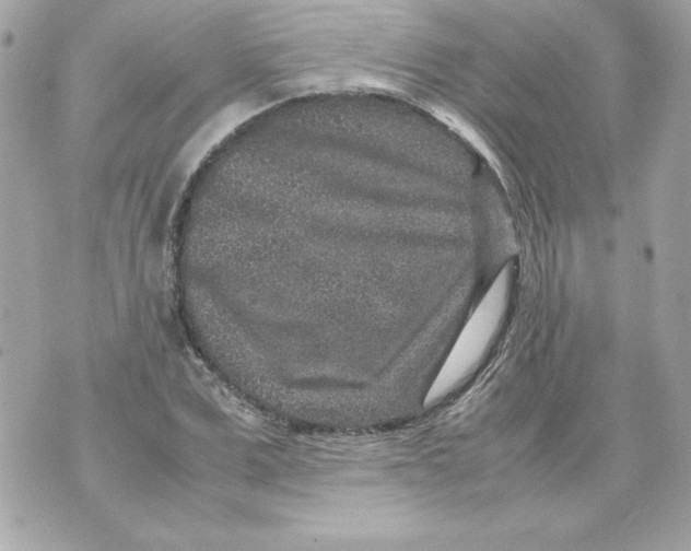 X0000070410975200607072305