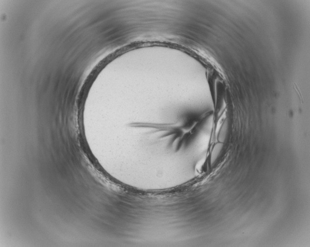 X0000070410976200607072305