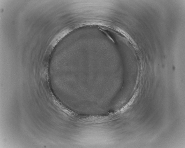 X0000070410977200607072305